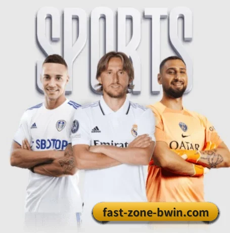 五大服务分区,信息按项目分类 - bwin